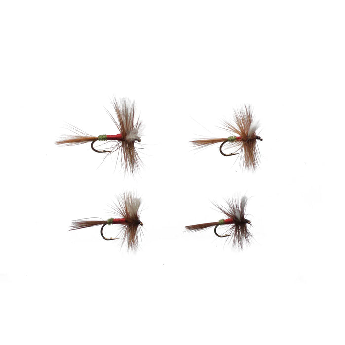 ROYAL WULFF ASSRT 4pk