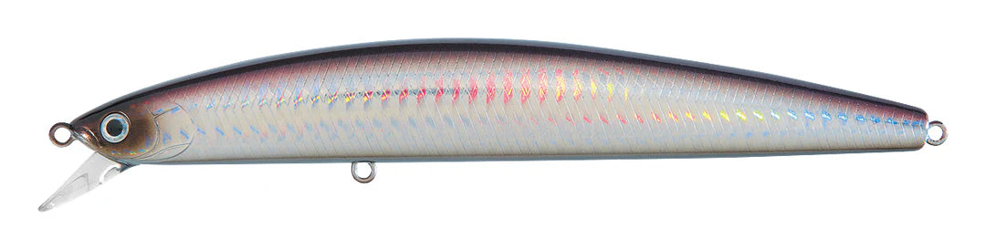 SP MINNOW 15