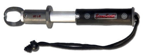 50 LB. ECONO SCALE - LIPPER