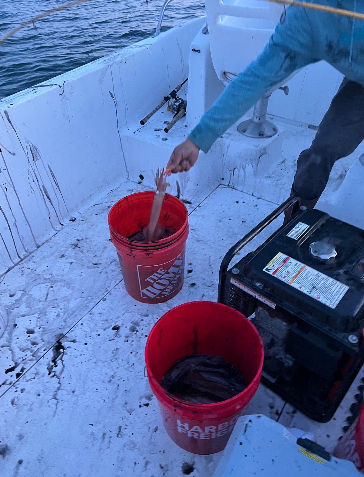 Cape Cod Fishing report May 7, 2026