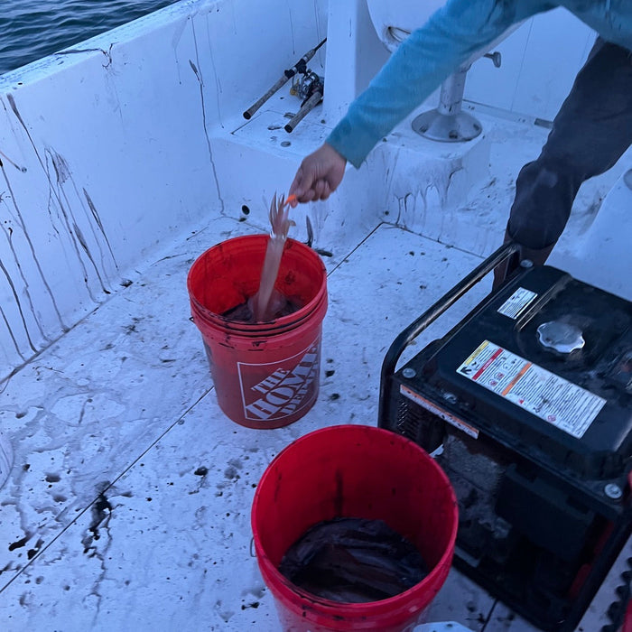 Cape Cod Fishing report May 7, 2026