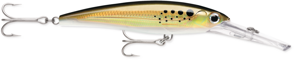 X-RAP MAGNUM DIVEBAIT