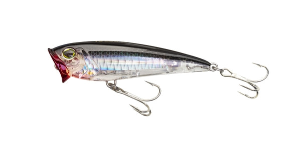 3D INSHORE POPPER