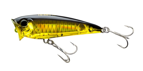 3D INSHORE POPPER