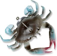 3D Crab TPE