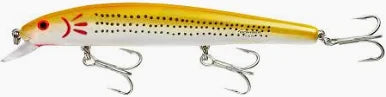 LONG A 6"