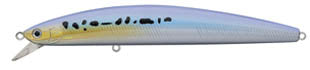 SP MINNOW 13