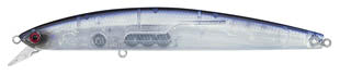 SP MINNOW 13